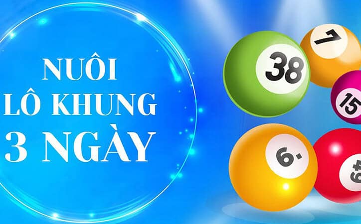 Hướng dẫn nuôi lô khung 3 ngày đúng bản chất, tránh sai lầm phổ biến