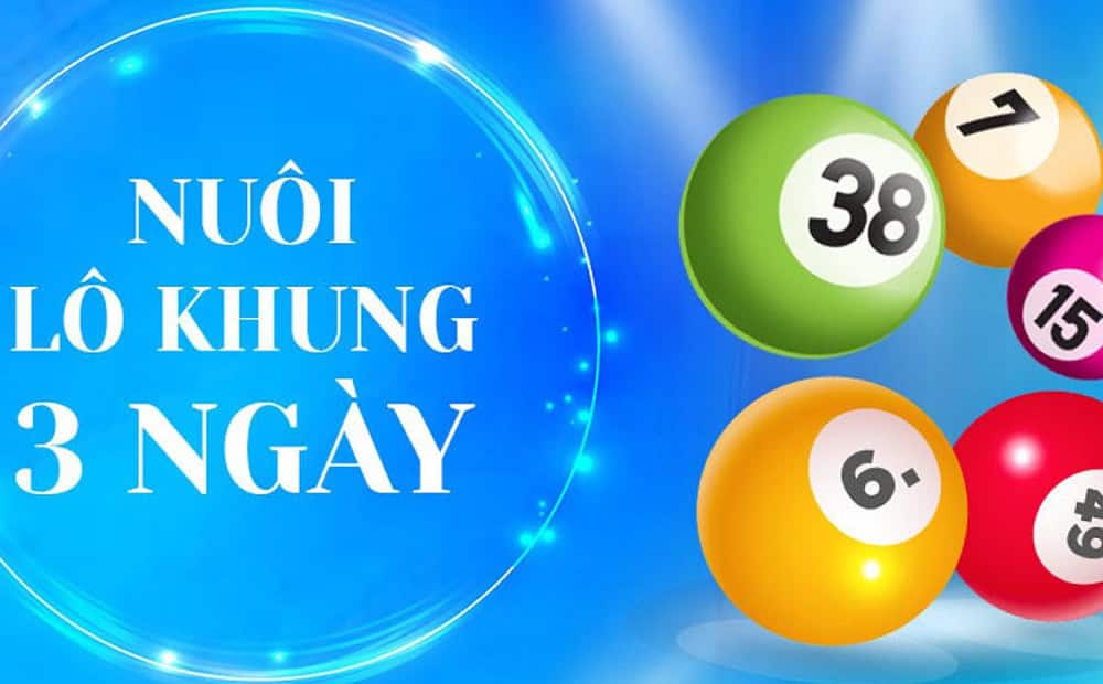 Huong dan nuoi lo khung 3 ngay dung ban chat, tranh sai lam pho bien