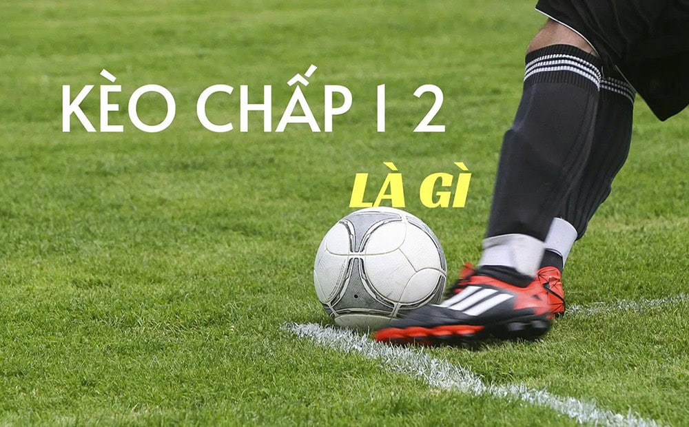 Kèo chấp 1/2 là gì và cách chọn cửa hiệu quả nhất Keo chap 1/2 la gi va cach chon cua hieu qua nhat
